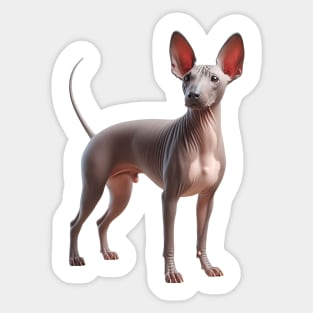 American Hairless Terrier Sticker